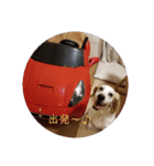 もなかの生活（個別スタンプ：2）