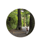 もなかの生活（個別スタンプ：7）