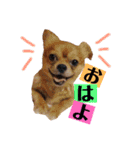 まると時々ふってぃ♡（個別スタンプ：1）
