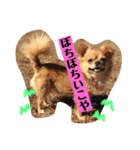 まると時々ふってぃ♡（個別スタンプ：7）