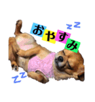 まると時々ふってぃ♡（個別スタンプ：9）