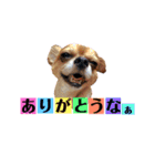 まると時々ふってぃ♡（個別スタンプ：11）
