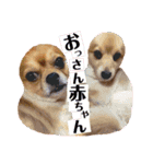 まると時々ふってぃ♡（個別スタンプ：12）