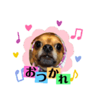 まると時々ふってぃ♡（個別スタンプ：13）
