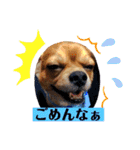 まると時々ふってぃ♡（個別スタンプ：16）