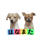 まると時々ふってぃ♡（個別スタンプ：17）