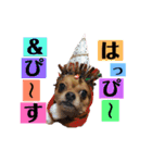 まると時々ふってぃ♡（個別スタンプ：20）