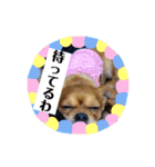 まると時々ふってぃ♡（個別スタンプ：24）
