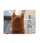 はるとお散歩（個別スタンプ：6）