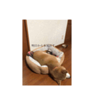 はるとお散歩（個別スタンプ：8）