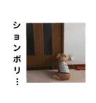 リオン♡（個別スタンプ：14）
