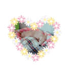 リオン♡（個別スタンプ：20）