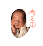 はやトントン（個別スタンプ：1）