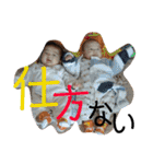 タロオト家族（個別スタンプ：24）