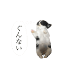 ムッカ様だぞ！Part1（個別スタンプ：9）