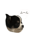 ムッカ様だぞ！Part1（個別スタンプ：15）