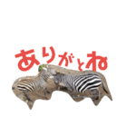 リアルアニマルすたんぷ（個別スタンプ：14）