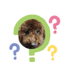 dogスタンプ（個別スタンプ：3）