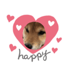 dogスタンプ（個別スタンプ：5）