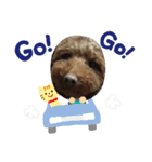 dogスタンプ（個別スタンプ：6）