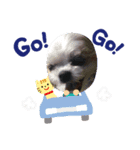 dogスタンプ（個別スタンプ：9）