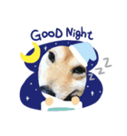 dogスタンプ（個別スタンプ：11）
