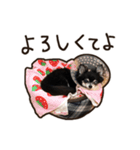 ラビューの日常（個別スタンプ：2）