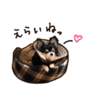 ラビューの日常（個別スタンプ：3）