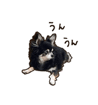 ラビューの日常（個別スタンプ：5）