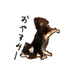 ラビューの日常（個別スタンプ：7）