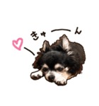 ラビューの日常（個別スタンプ：12）
