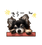 ラビューの日常（個別スタンプ：13）