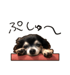 ラビューの日常（個別スタンプ：14）