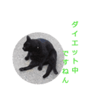 いぬ時々きんぎょのちにゃんこ（個別スタンプ：18）