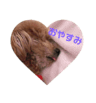 ぷうぷうぷう（個別スタンプ：4）