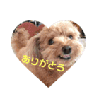ぷうぷうぷう（個別スタンプ：7）