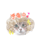 愛しの我が子達（犬猫）（個別スタンプ：2）