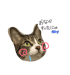 愛しの我が子達（犬猫）（個別スタンプ：4）