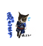 愛しの我が子達（犬猫）（個別スタンプ：7）