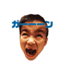 ニコのスタンプ  その②（個別スタンプ：1）