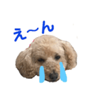 ランディです（個別スタンプ：2）