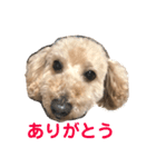 ランディです（個別スタンプ：4）