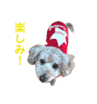 ランディです（個別スタンプ：11）
