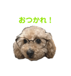 ランディです（個別スタンプ：16）