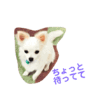 あたしの小豆(あずき)（個別スタンプ：9）