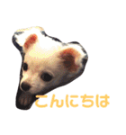 あたしの小豆(あずき)（個別スタンプ：12）
