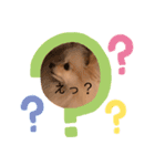 ポメラニアン もものきもち（個別スタンプ：6）