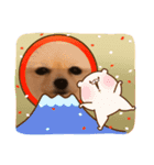 ポメラニアン もものきもち（個別スタンプ：12）