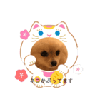ポメラニアン もものきもち（個別スタンプ：15）