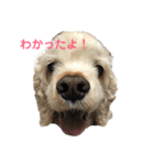アメコカ「うめ吉くん！ハイ！」（個別スタンプ：15）